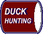 Duck Hunting